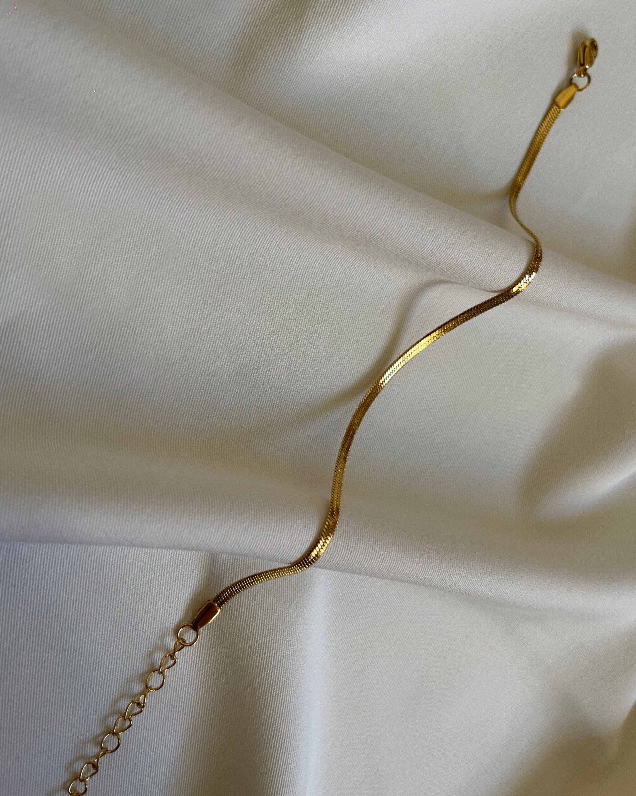 134594 Riva - Image 1