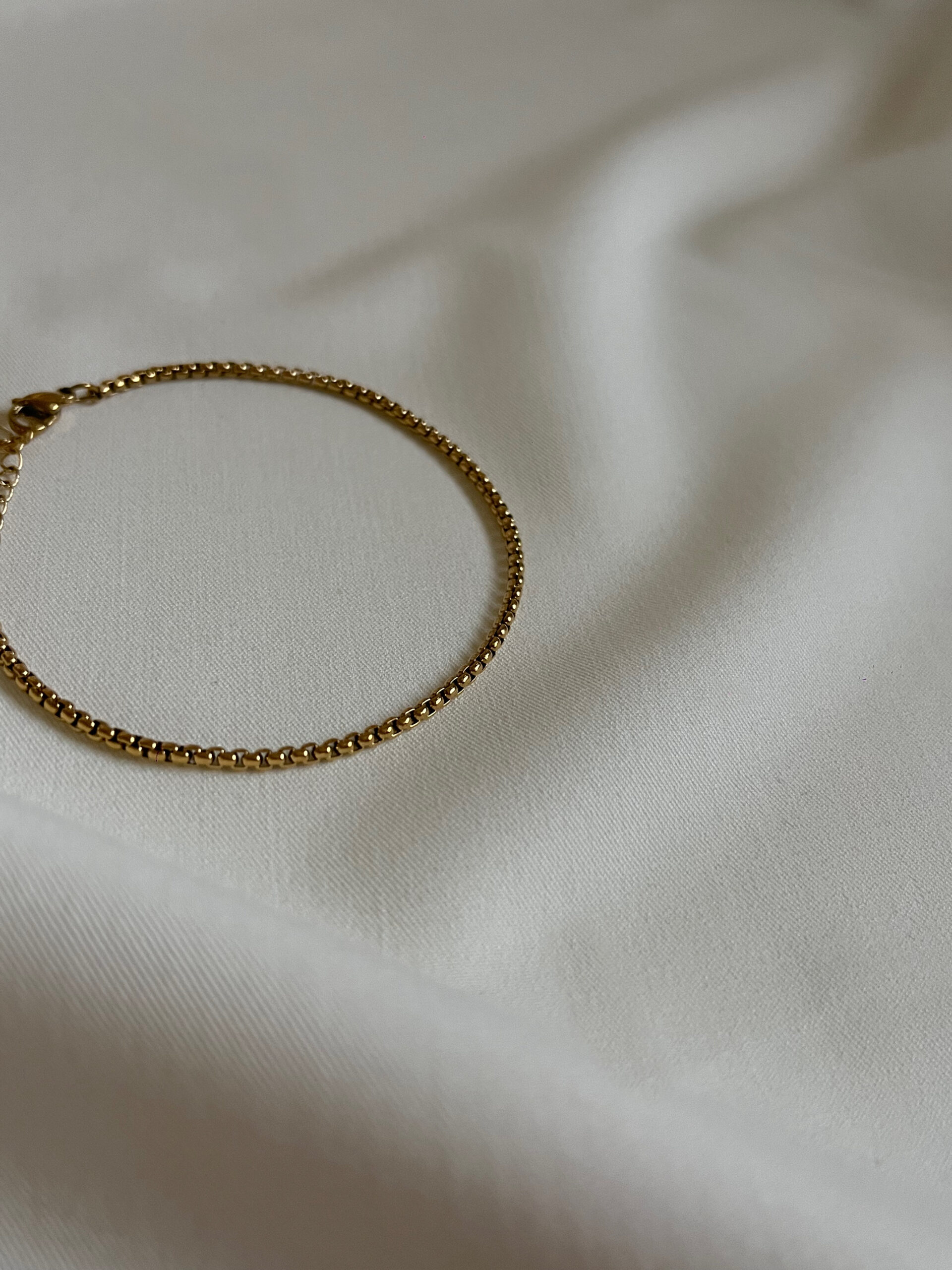 134595 Solea - Image 1