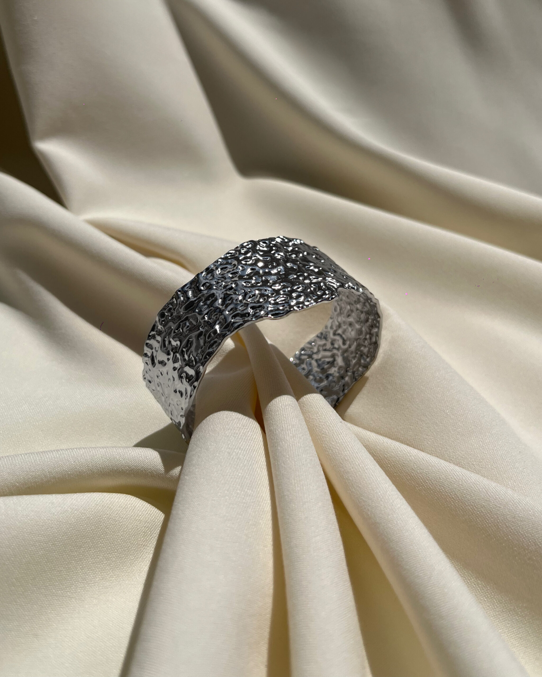 160347 Silver Troy - Image 1