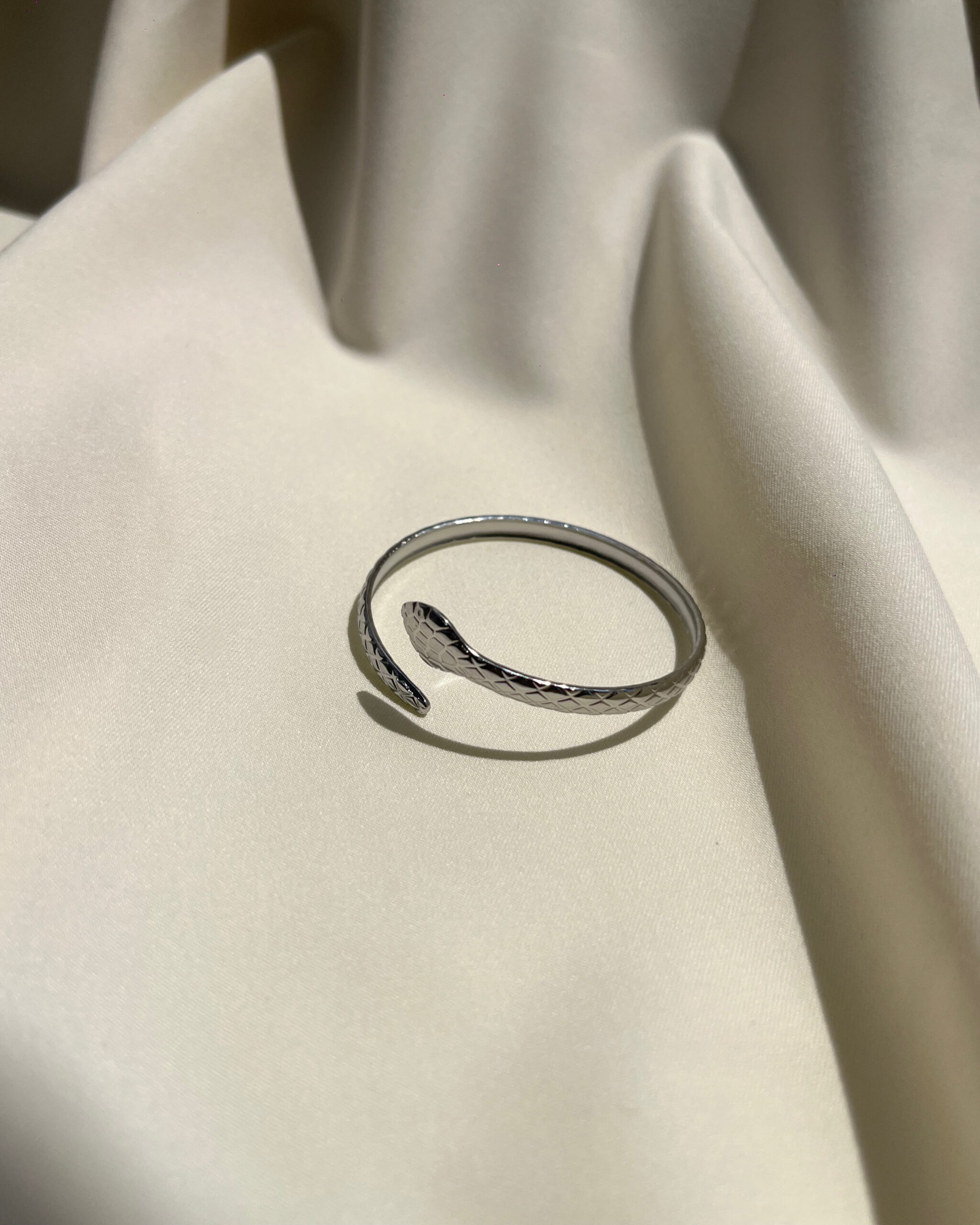 160387 Silver Cobra - Image 1