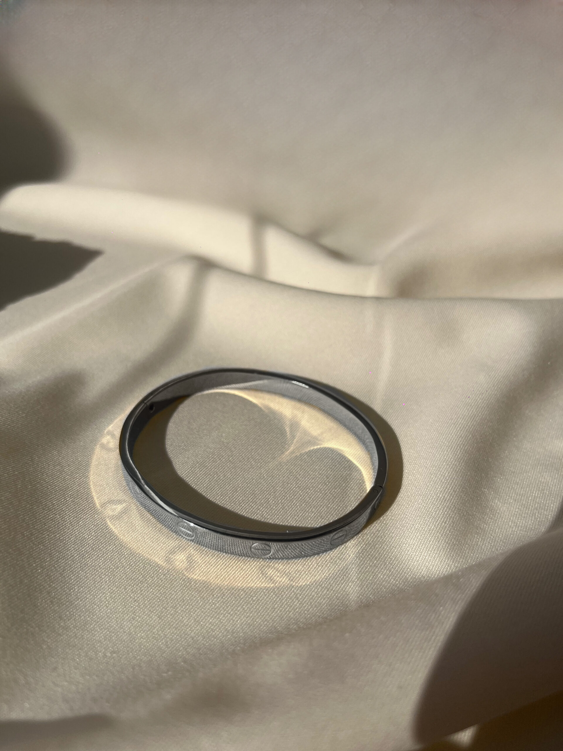 249139 Silver Cherie - Image 1