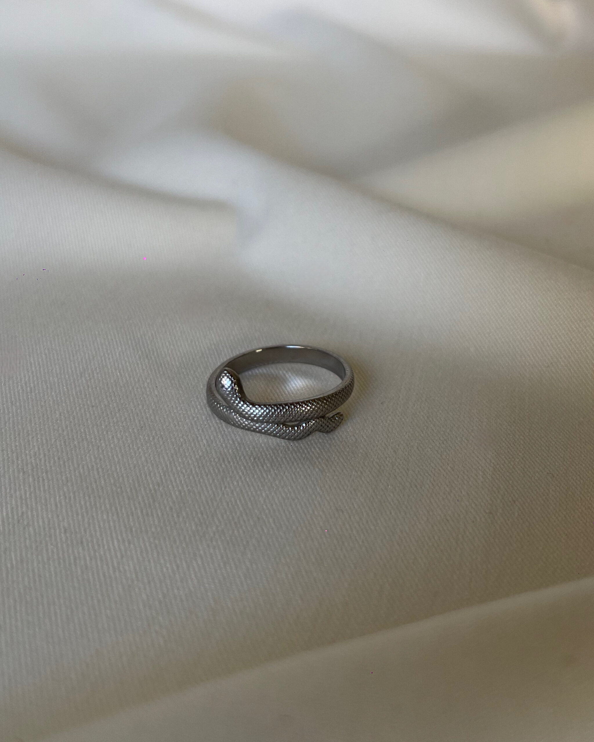 65676 Serpenta - Image 1