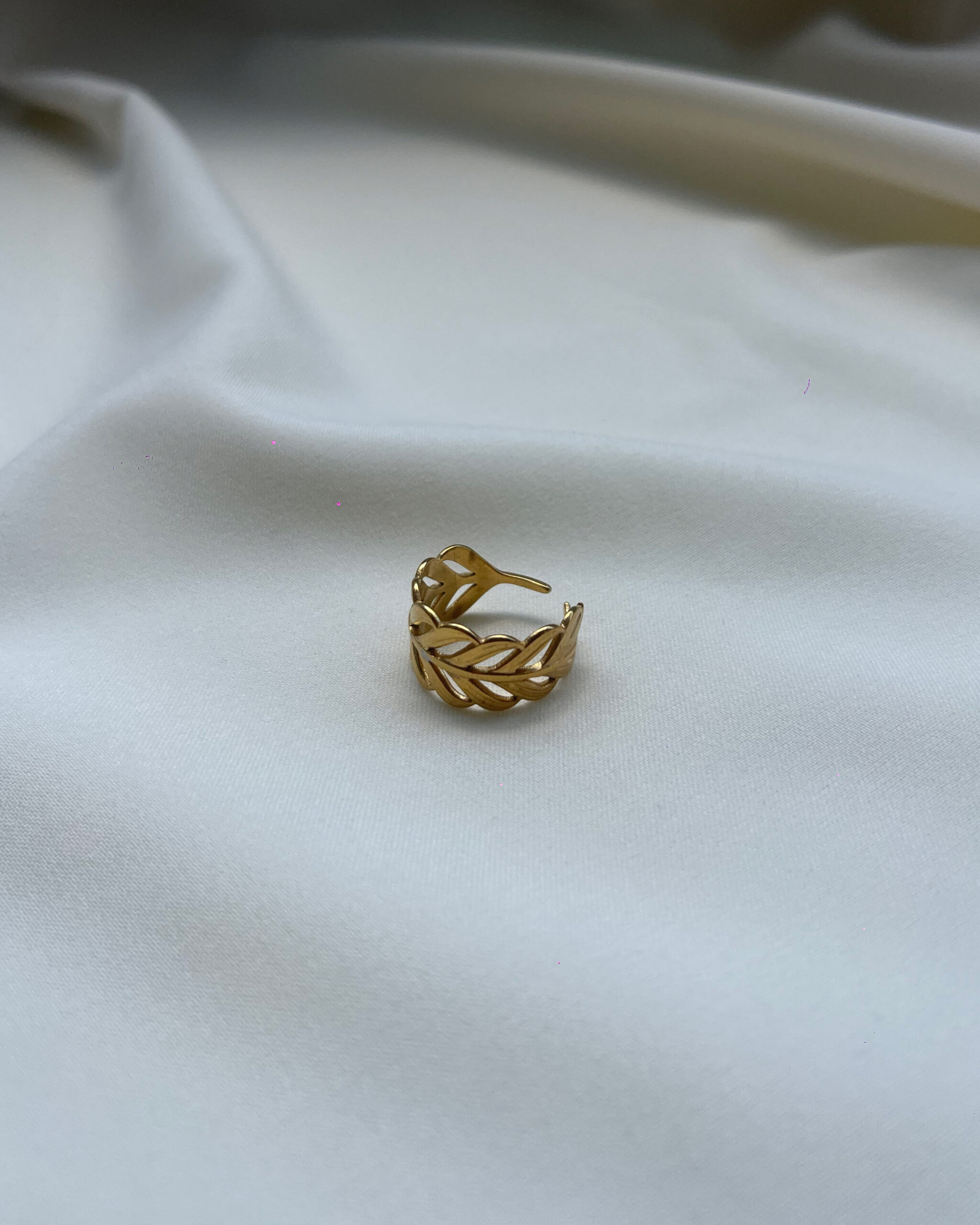 65683 Zephyra - Image 1