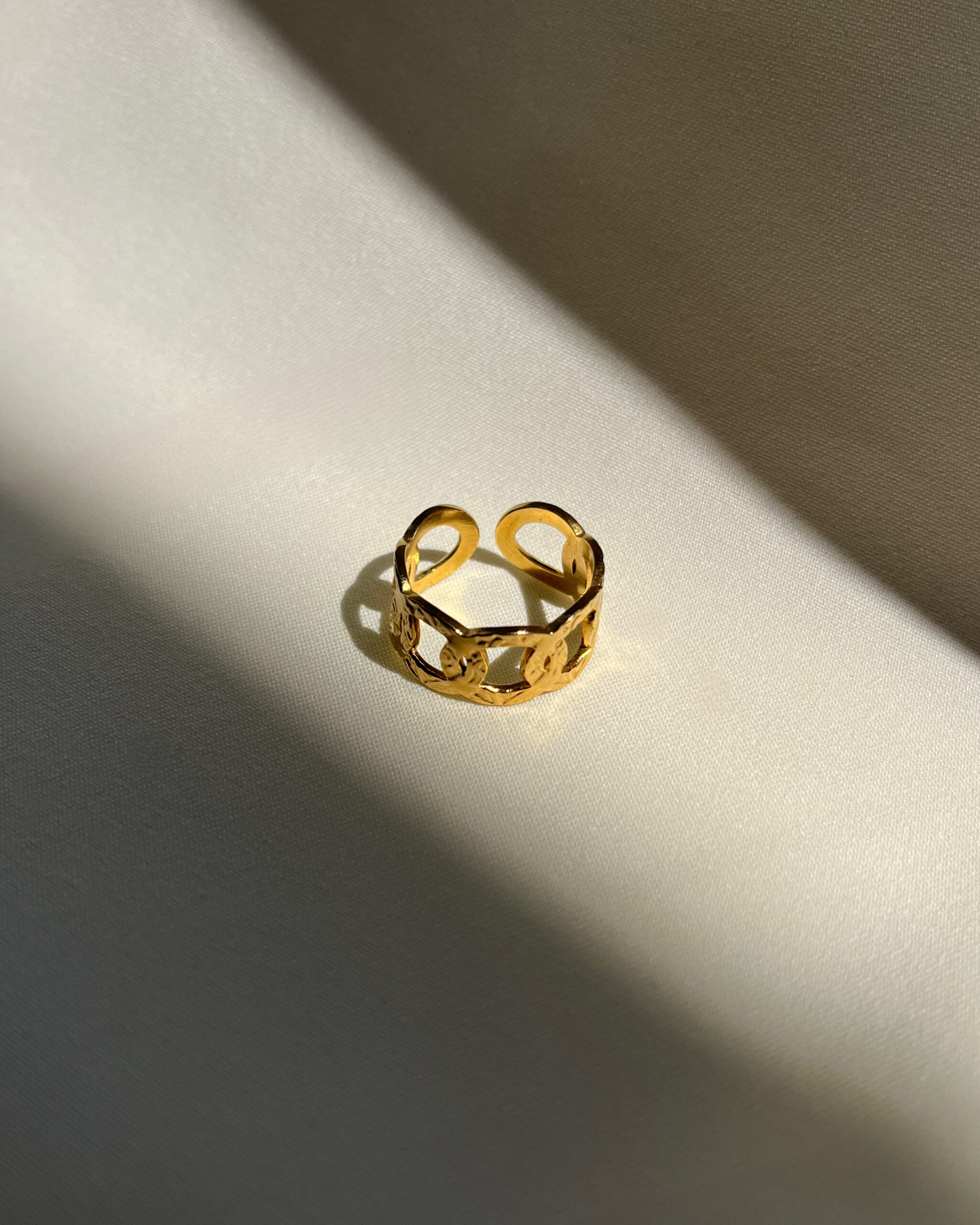 65687 Celia - Image 1