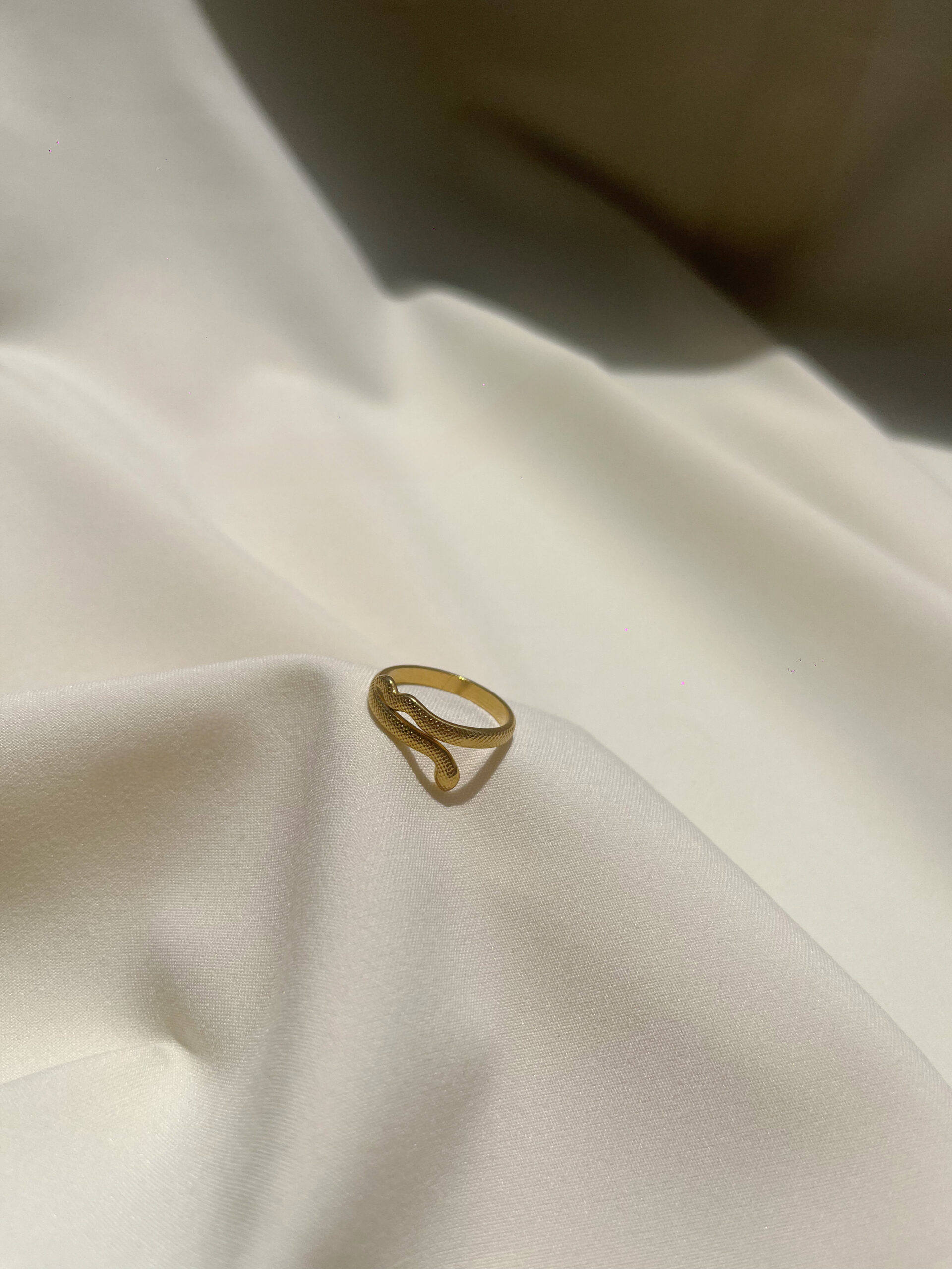 65714 Sarina - Image 1