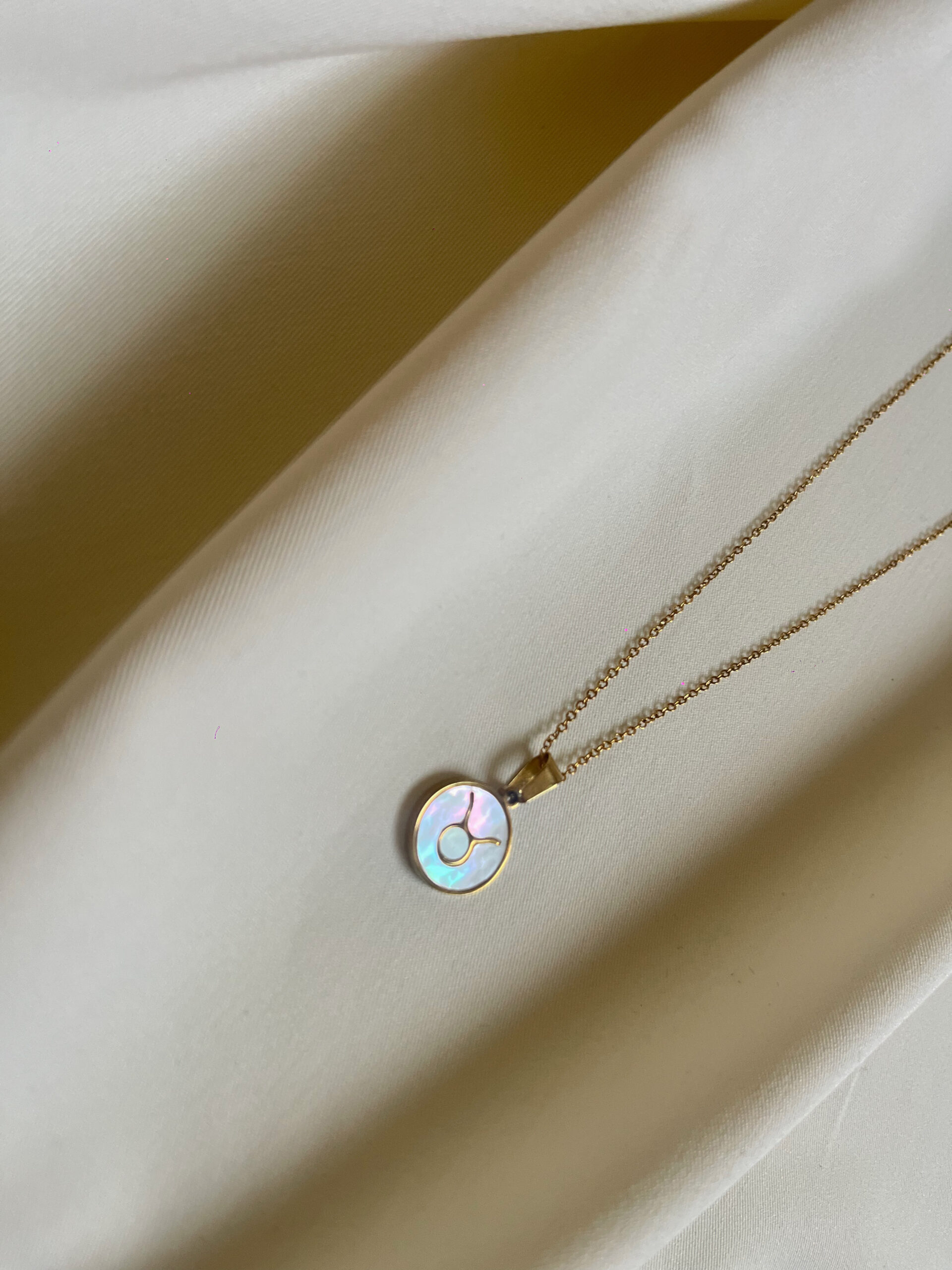 68439 Stainless Steel 18K Gold Plated Basic Plating Constellation Shell Pendant Necklace - HF-X2125-Taurus | 18KFulfilled June 8, 2025 Track shipment YunExpress #YT2516000701422852 - Image 1